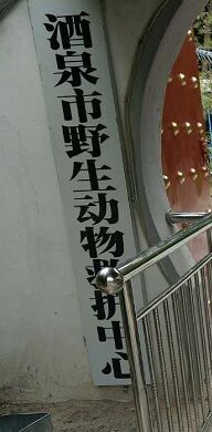防疫系統(tǒng)